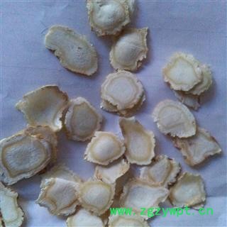 吉康药业人参片长白山白参片 人参片软质片图2