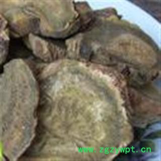 吉康药业中药材大黄  土大黄图2