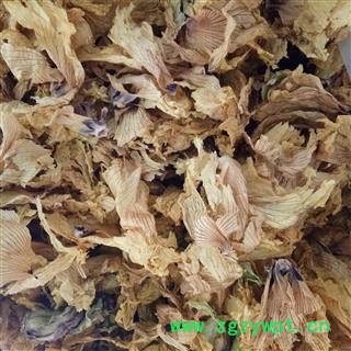 秋葵 秋葵花  黄蜀葵花 黄秋葵花 侧金盏花  产地 安徽省图2