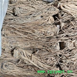 当归 大选 全当归 当归个 产地 甘肃省另有小选个图3