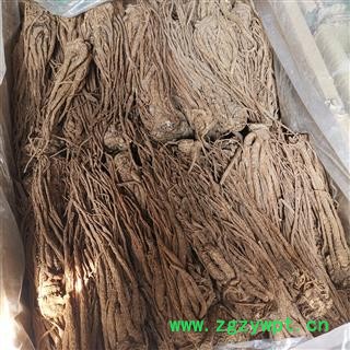 当归 大选 全当归 当归个 产地 甘肃省另有小选个图4