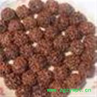 吉康药业中药材 金刚 金刚菩提子图2