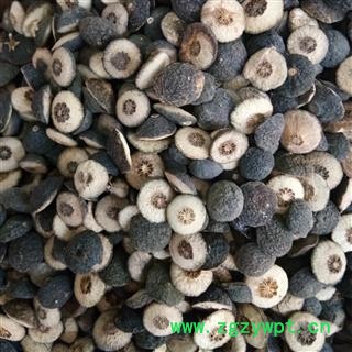 枳实 江西枳实  鹅眼枳实 产地 江西省图2