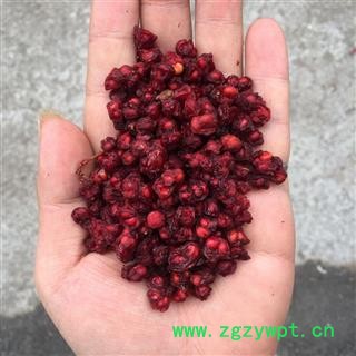 五味子 精选五味子  辽五味子 产地 辽宁省图3