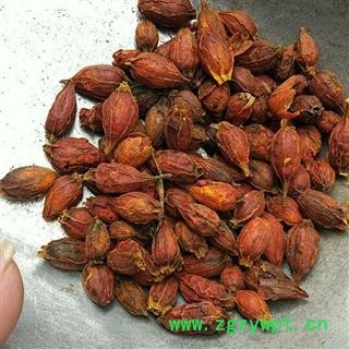 栀子 统装 产地 江西省宜春市市辖区图2