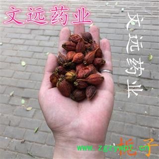 栀子 统装 产地 江西省宜春市市辖区图3