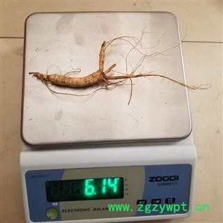 长白山 山参 小支 5克左右 经济实惠图3