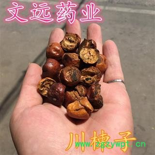 川楝子 南阳市文远药业 炒川楝子 产地 四川省南充市市辖区图2