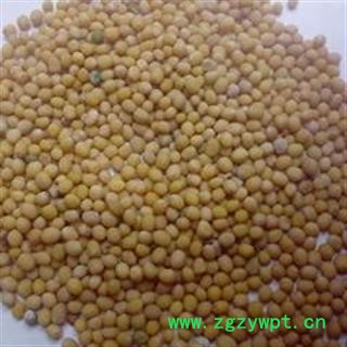 白芥子 统装 产地 四川省德阳市市辖区图3