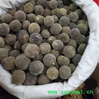 化橘红 化橘红小个 产地 广东省图2