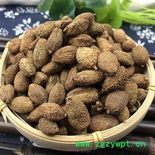 壳砂 进口砂仁 长果砂仁 选 产地 海外图2