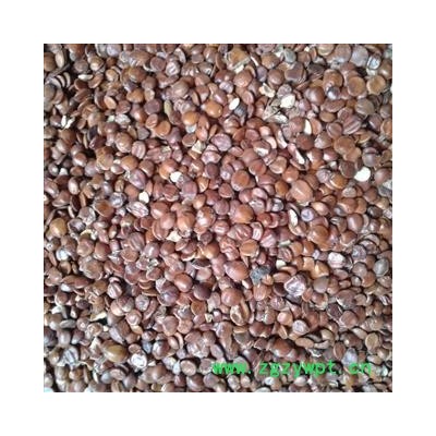 酸枣仁 统 产地 海外