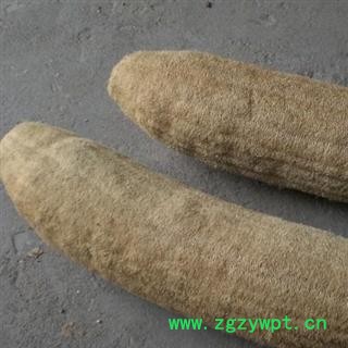 丝瓜络 圆个 产地 河北省图3