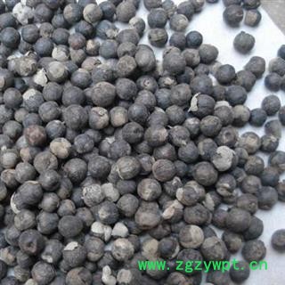 蔓荆子 云南蔓荆子小粒统货 产地 云南省图2