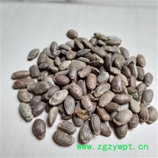 瓜蒌仁 双边 统货 产地 河北省图2