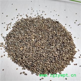 地肤子 地肤子净货 产地 安徽省图2