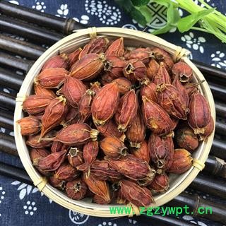 栀子 栀子选个  产地 福建省图3