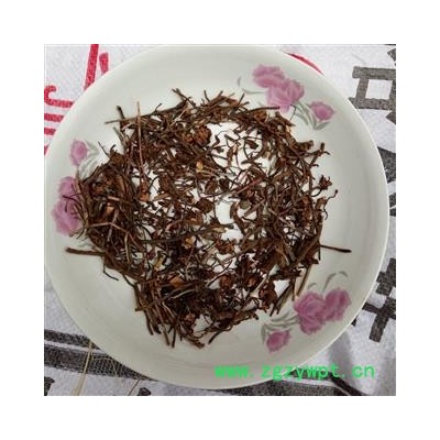 茜草 野生机切水洗 产地 河南省平顶山市汝州市