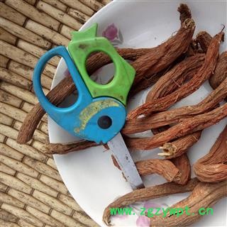 丹参 选货大条 产地 河南省平顶山市汝州市图2