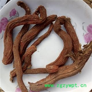 丹参 选货大条 产地 河南省平顶山市汝州市图3