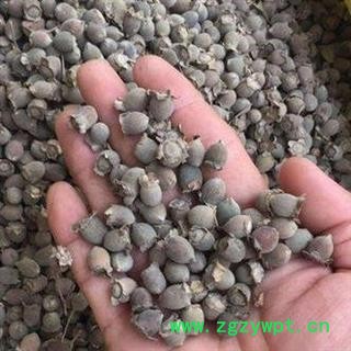 桃金娘 桃金娘子 岗稔子 山稔子 桃金娘果 岗念子 产地 广西壮族自治区 买好药找娟子图4