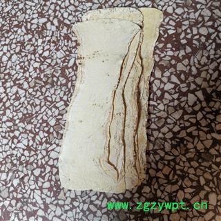 甘肃黄芪黄芪压片25-30公分 黄芪宽带片 大压片实物拍照量大从优图2