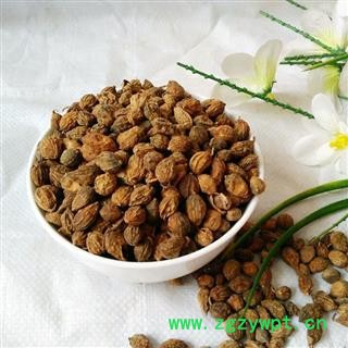 娟子中药 益智仁 统货 产地 海南省海口市龙华区图3