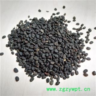 补骨脂 补骨脂饱满统货 产地 云南省图2