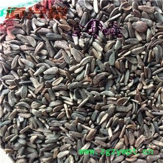 牛蒡子 大力子 牛蒡子净货 产地 吉林省 批发经营各种冷背中草药个子图2