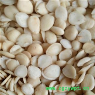 苦杏仁 去皮统货 产地 山西省图2