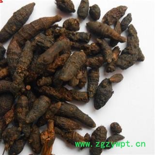 吉康药业香附 无硫统货 光香附子选货性价比高图2