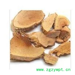 雷公藤 黄藤、黄腊藤、菜虫药、红药、水莽草图2