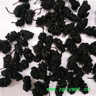 桑葚子 桑椹精选货 产地 河北省图2
