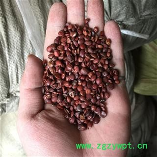 枣仁 国产枣仁 选装 产地 山东省图3