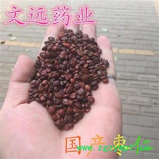 枣仁 国产枣仁 选装 产地 山东省图2