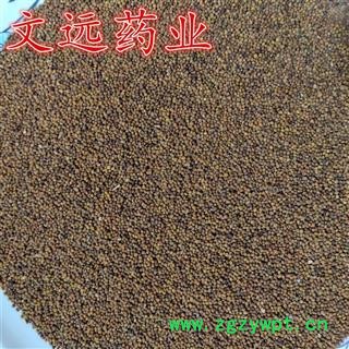 菟丝子 正品内蒙 选 水洗 纯净货 包药检 产地 内蒙古自治区乌兰察布市市辖区图2