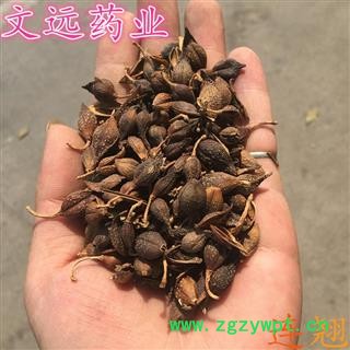 连翘 一级连翘 选装 产地 河南省图2