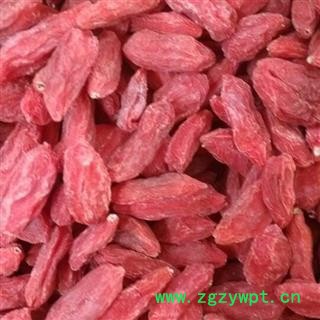 枸杞子 2020 精选 枸杞280颗粒  大颗粒 产地 宁夏回族自治区银川市市辖区图3