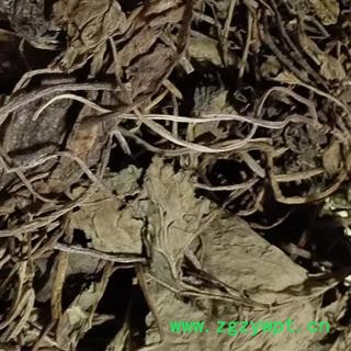 细辛叶 辽细辛叶干货无杂质重在品质吉康药业图2