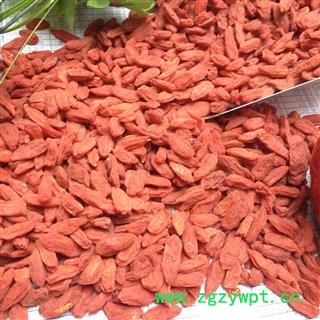 枸杞子 青海枸杞380 产地 青海图2