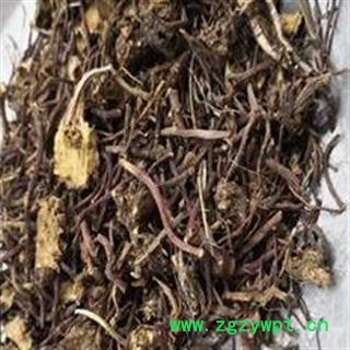 紫菀 紫苑 紫菀片好统货头少水洗净货重在品质吉康药业图3