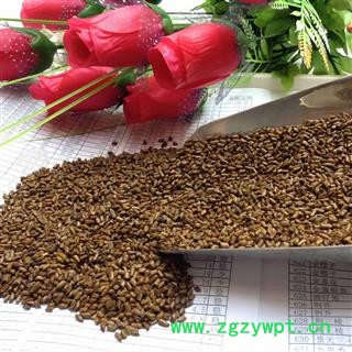 决明子 生决明子 国产决明子选货 产地 安徽省图2