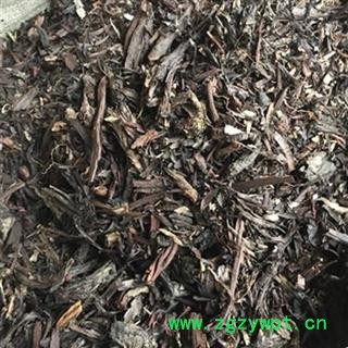 新辉药业正品中药材新疆紫草 硬紫草图2