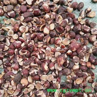 大风子 大风子仁 去壳大风子  大枫子  精选大个 产地 广西图2