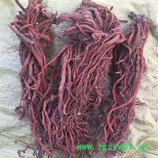 新辉药业山东丹参 优质统货图2