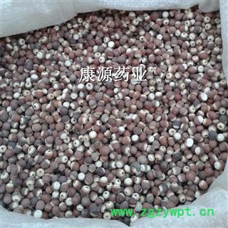 芡实 无硫中大粒 产地 广东省肇庆市广宁县图3