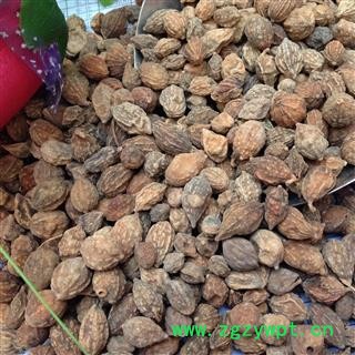 益智仁 选货 产地 海南省图2