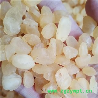 皂角 皂角米  皂角荚 产地 山东省图2