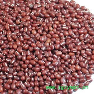 赤小豆 统货 产地 山西省  娟子中药图3