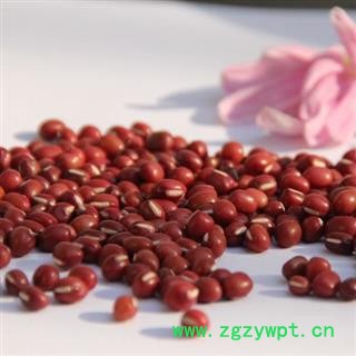 赤小豆 统货 产地 山西省  娟子中药图2